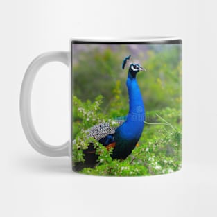 PEACOCK DESIGN Mug